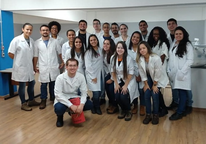 jm empresas juniores