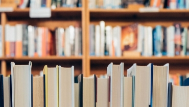 Doutorado: Educação