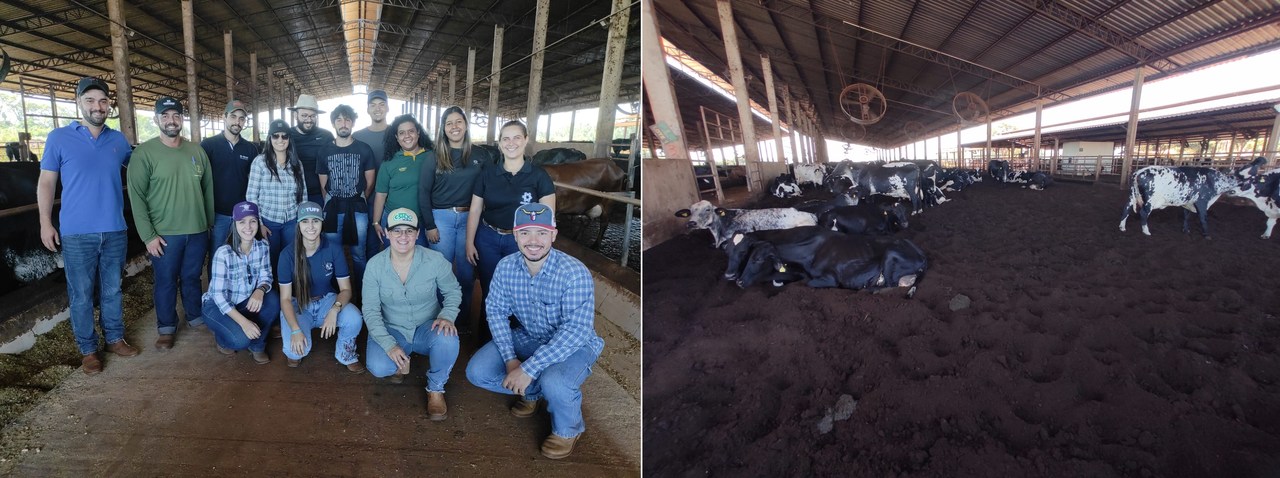 agro visita fazenda site