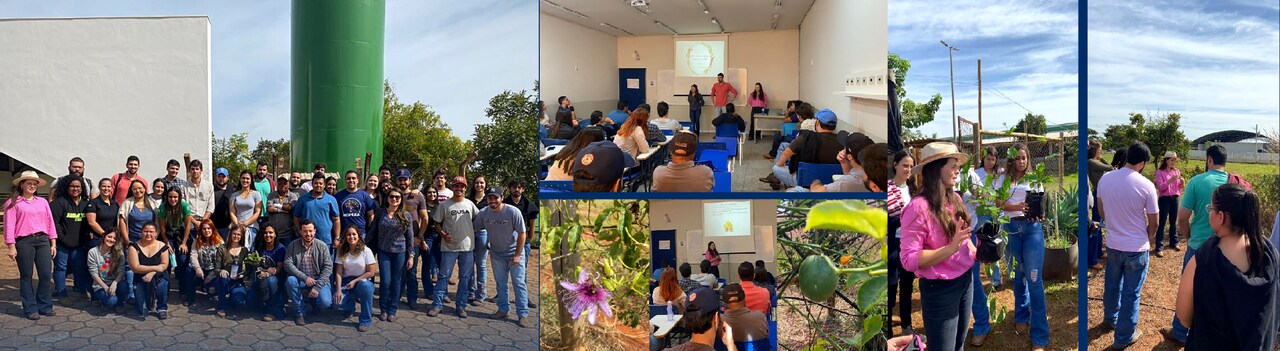visitatecnicaAgroMaracujamontagem