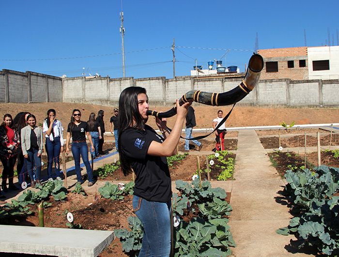 horta7
